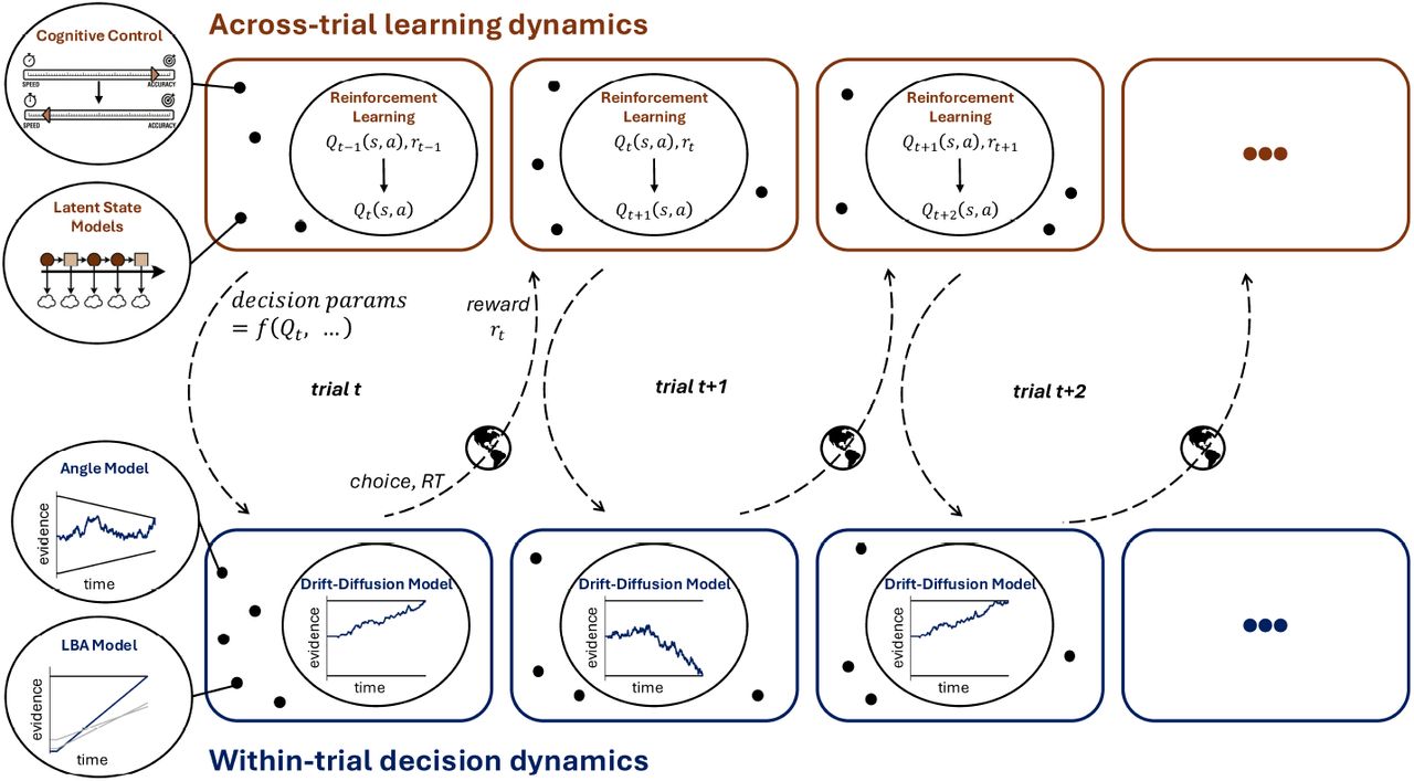 Graphical model of an RLSSM.